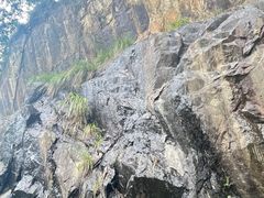 -东天目山风景区