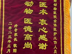 -中农国际动物医院24小时·猫科·骨科·急重症中心