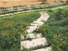 -南宁良凤江国家森林公园