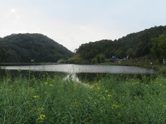 -广州市石门国家森林公园