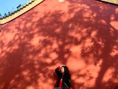 -遵化市禅林寺古银杏风景园