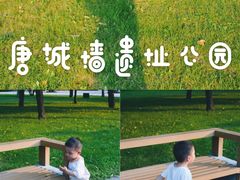 -唐城墙遗址公园