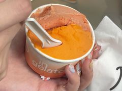 柳橙南瓜-Dip in Gelato(富民路店)