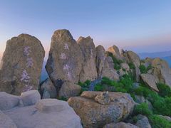 -白草畔自然风景区