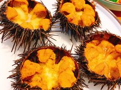 -海胆小馆(东北水饺·春柳店)