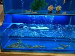 -芭菲盛宴·环球美食(北城国际店)