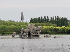 -大兴滨河森林公园