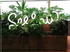 -Seesaw Coffee(朝阳大悦城店)