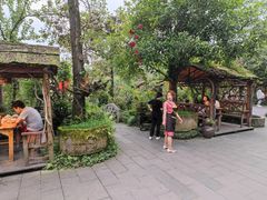 -青城甲(青城山店)