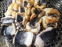 吉力烤鳗鱼-吉力烤鳗