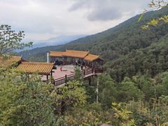 -铁山坪森林公园