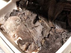 -海底捞火锅(亲子主题北金鹰店)