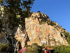 -西霞口神雕山野生动物世界