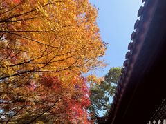 -北山街历史文化街区