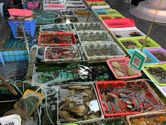 -霞涌市场海鲜摆卖区