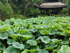 -三苏祠