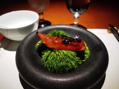 -觀芷隐轩