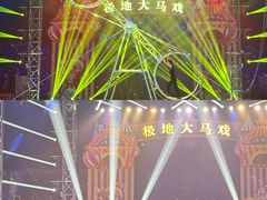 -海合安天津极地海洋公园