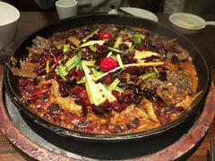 -老板恋上鱼(荣盛广场店)
