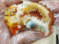 -友强·23年特色海鲜大排档(厦门店)