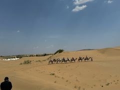 -银肯塔拉沙漠生态旅游景区