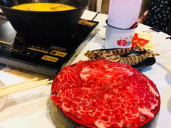 -鲜入围煮花胶鸡海鲜火锅