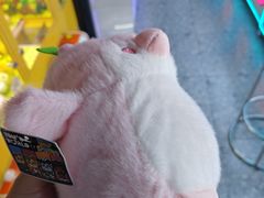 -汤姆熊欢乐世界(莘庄龙之梦店)