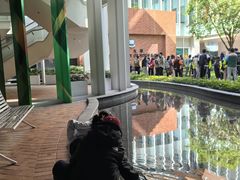 -香港大学