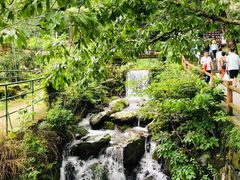 -藏龙百瀑风景区