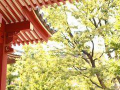 -东京浅草和服体验江户和装工房雅(浅草本店)