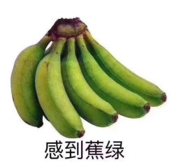 -静博士养生美容连锁