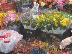 -循礼门鲜花花市(武汉循礼门店)