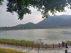 -风云岭森林公园