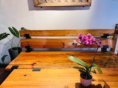 -蓝壁虎咖啡酒馆