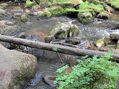 -汤旺河林海奇石景区