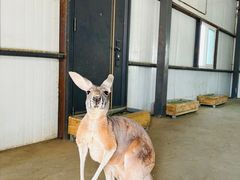 -水上乐园·欢乐世界