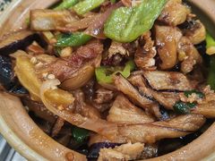 -力哥地道海南菜·联谊文昌鸡老店