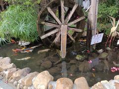 -合晋食府(广州合晋帝苑酒店)