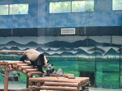 -柳州市动物园