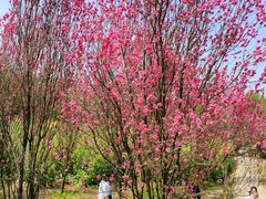 -贵阳市花溪国家城市湿地公园