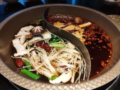 -潘小辣鲜肉老火锅