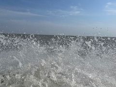 -洪湖生态旅游区