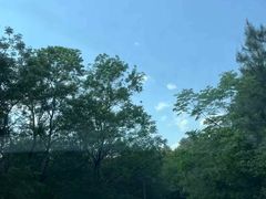 -句容茅山景区