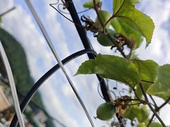 -贺富酒家(白藤二路分店)