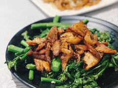 姜汁芥兰炒肥叉-粤·向群饭店(龙津东路总店)
