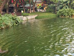 -荔湾湖公园