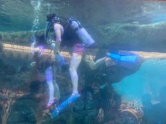 -波塞冬海底世界