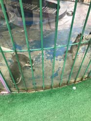 -萌宠亲子动物乐园(槐房万达店)