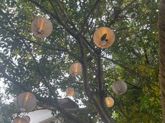 -云里小坐·小院里·团建·宴请·下午茶(三圣乡店)