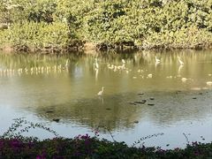-海珠湖公园